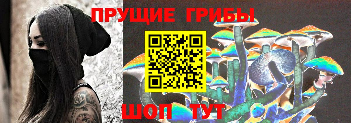 Галлюциногенные грибы GOLDEN TEACHER  Галлюциногенные грибы Cubensis  Красноармейск  Вход с VPN 